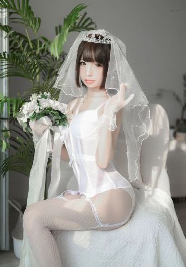 黑狐电视剧