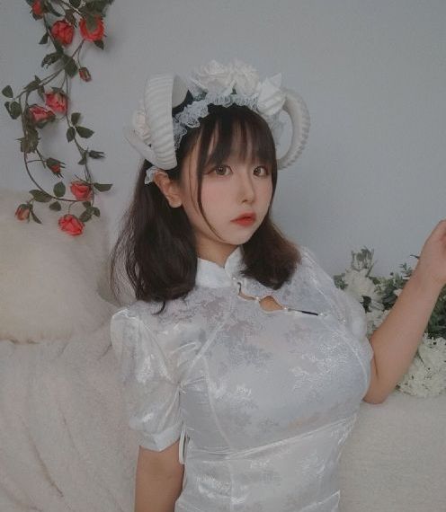 后宫之妾