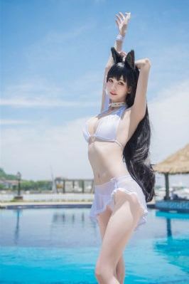 公交车系列h2